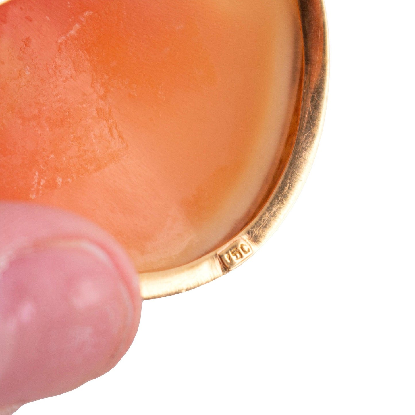 Fine Shell Cameo Pin/Pendant