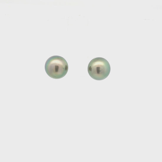 9.5mm Tahitian Pearl Stud Earrings