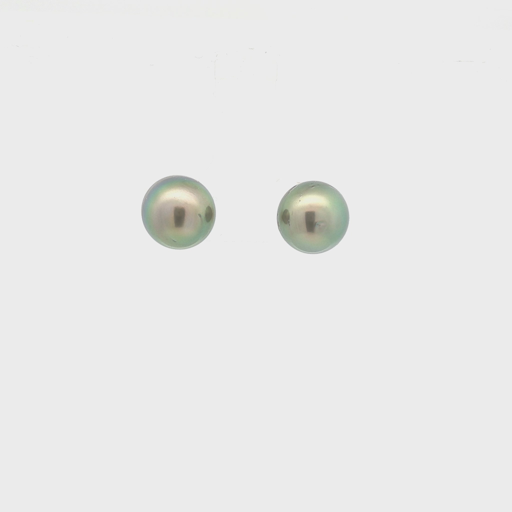 9.5mm Tahitian Pearl Stud Earrings